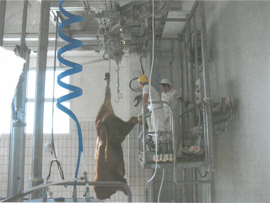 slaughtering machines - Fixed or pneumatic platforms - pedana di trasferimento
